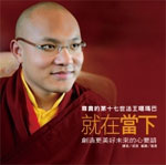 karmapa 04b